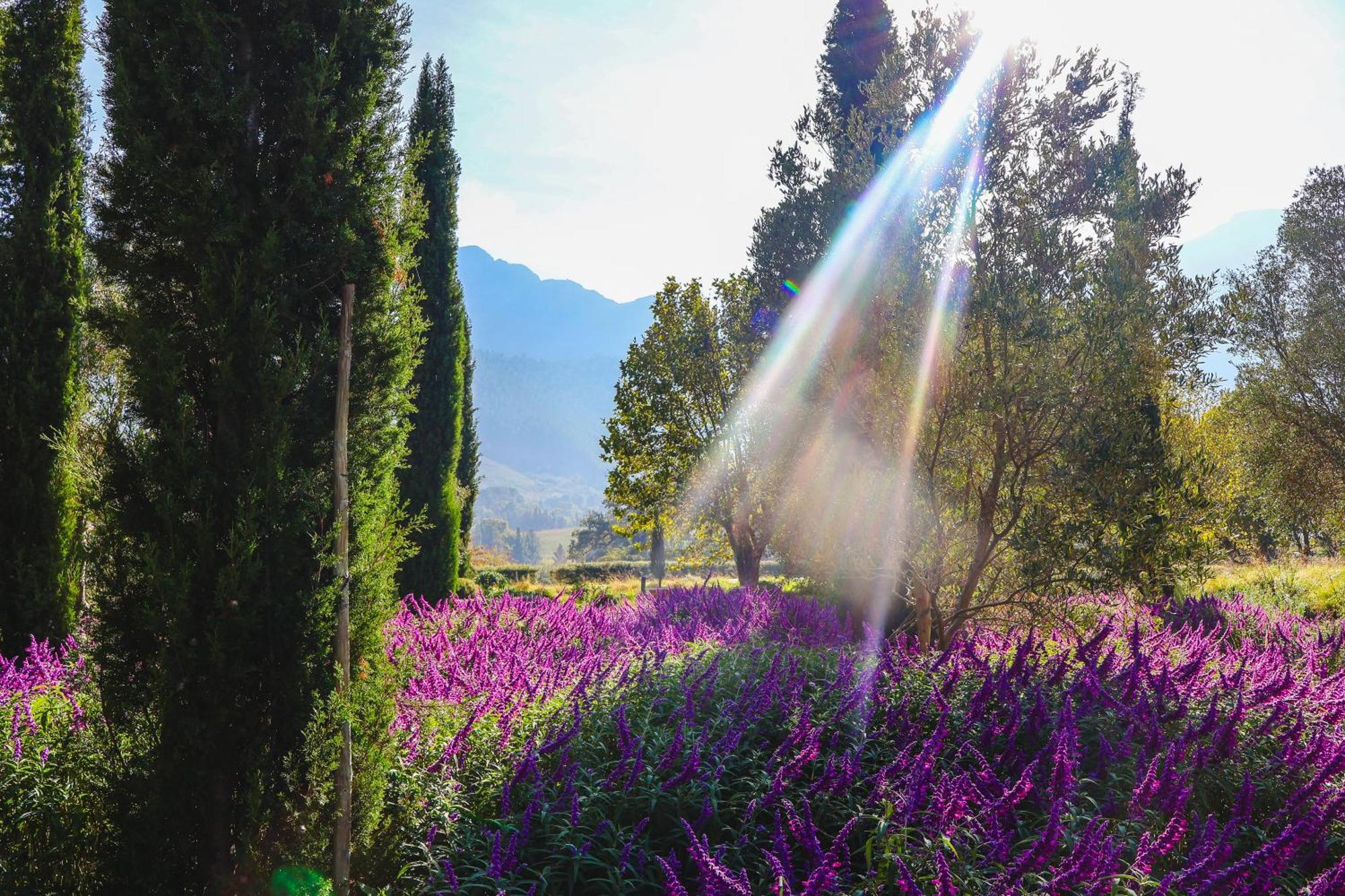La Villa Franschhoek Buitenkant foto